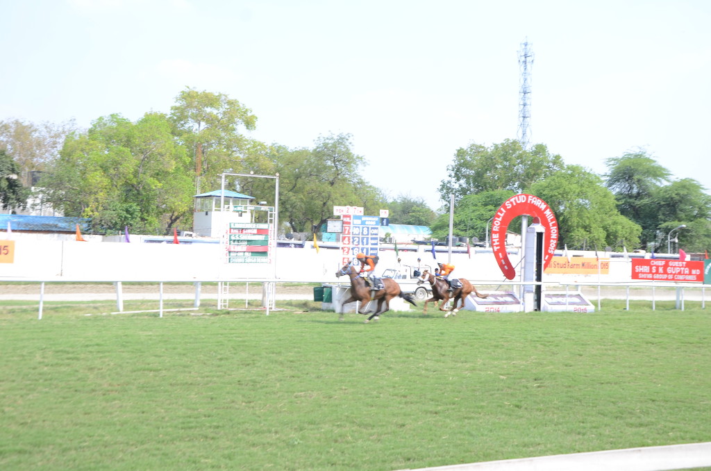 Rolli Stud Farm Fashion Show 2015