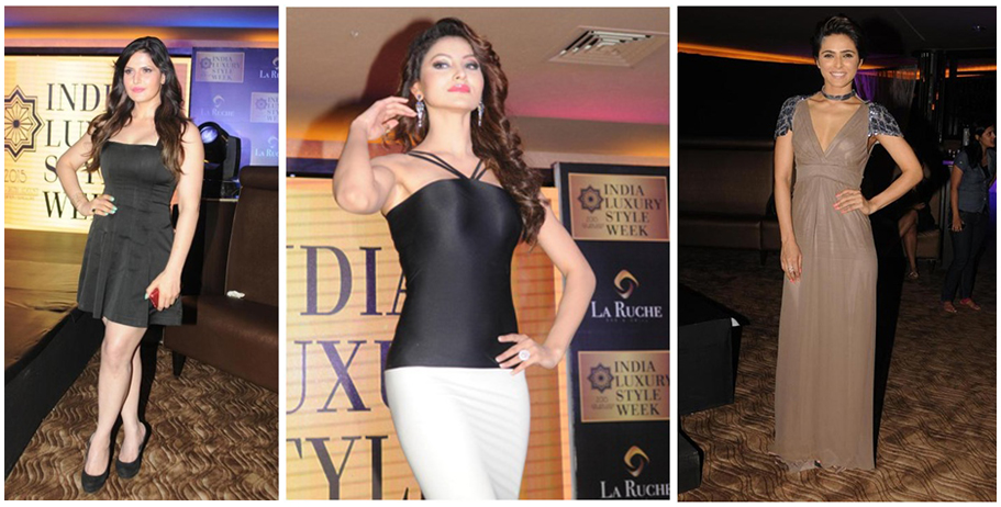 Zarine Khan / Urvashi Rautela / Madhurima Tuli