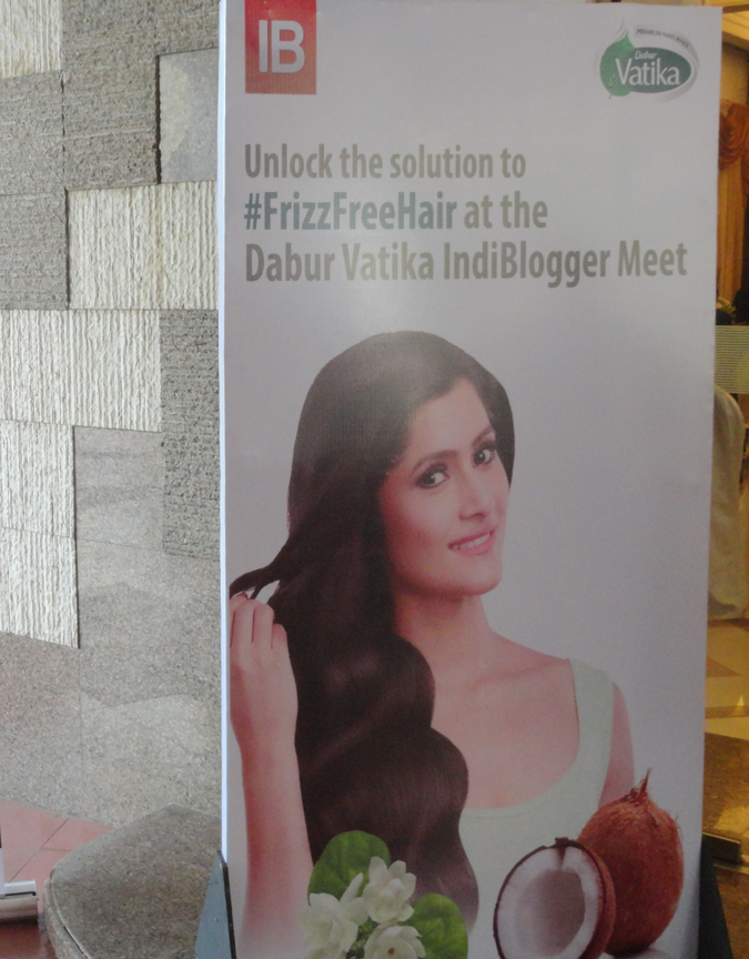 Dabur Vatika , Indiblogger, Champi, Hair Oil, Frizzy Hair, Frizz Free, Fashion blogger, Beauty