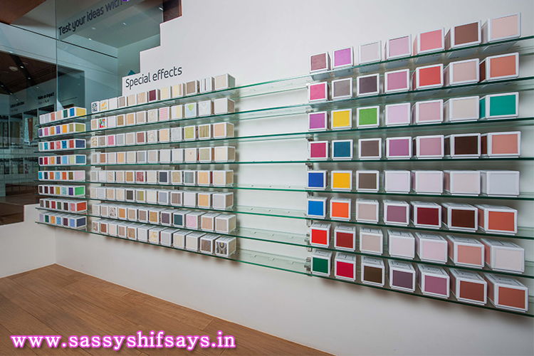 Asian Paints (10)