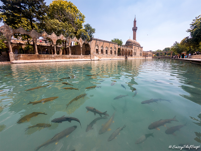 Balikli Gol, Sanliurfa Turkey